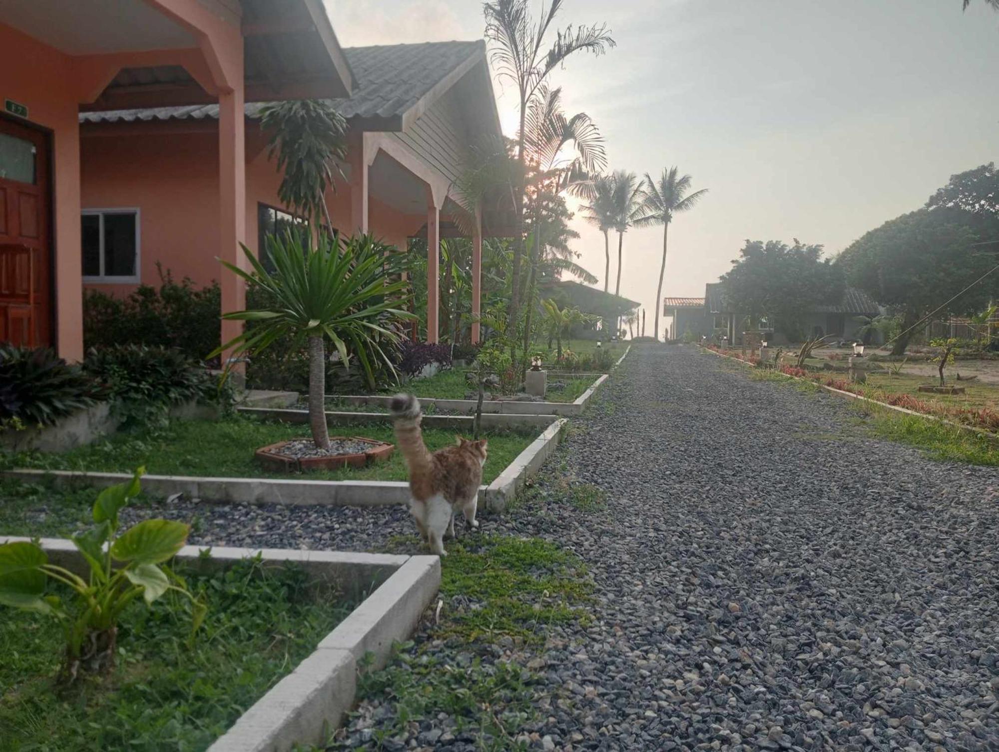 Scandinavian Beach Resort Koh Lanta Exterior photo